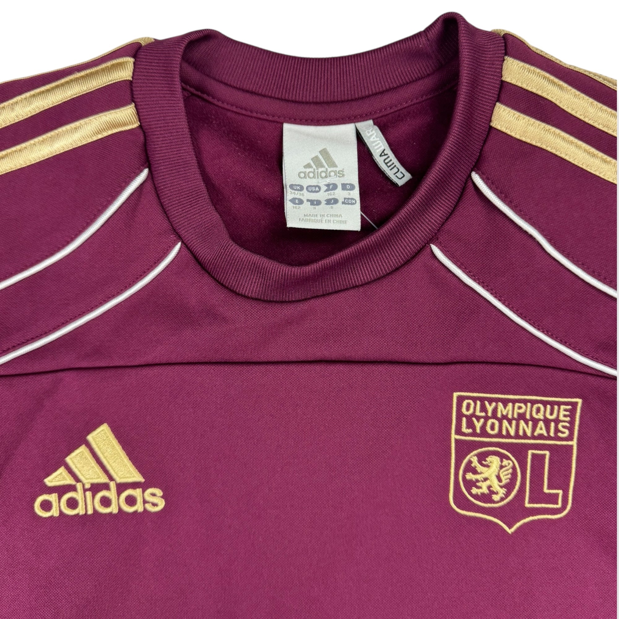 Lyon 2010 Training Jumper (S)