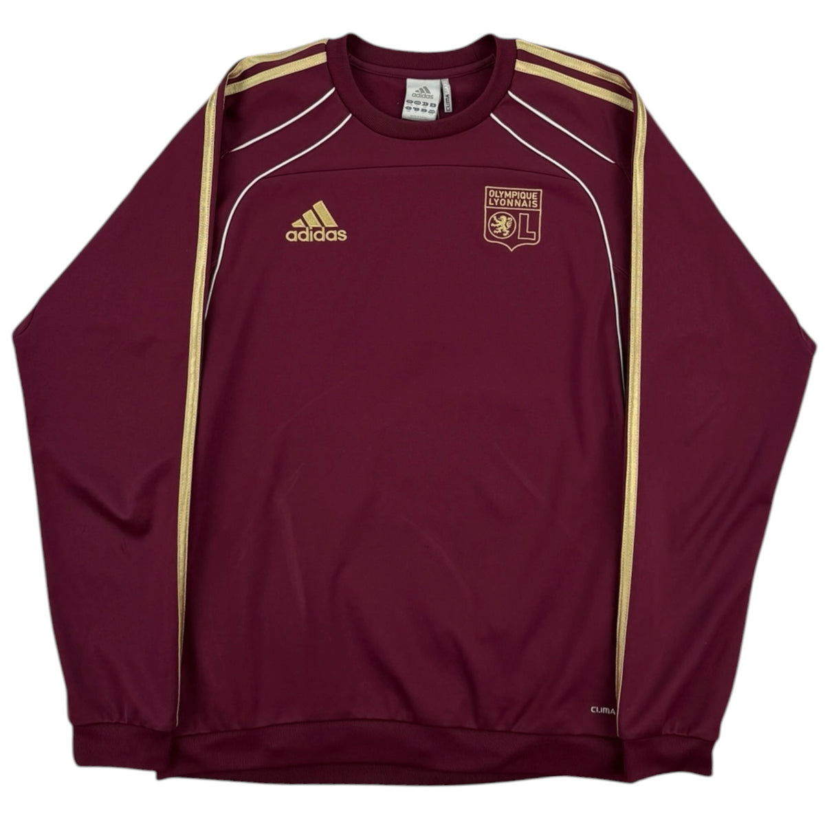 Olympique Lyon 2010 Jumper (S)