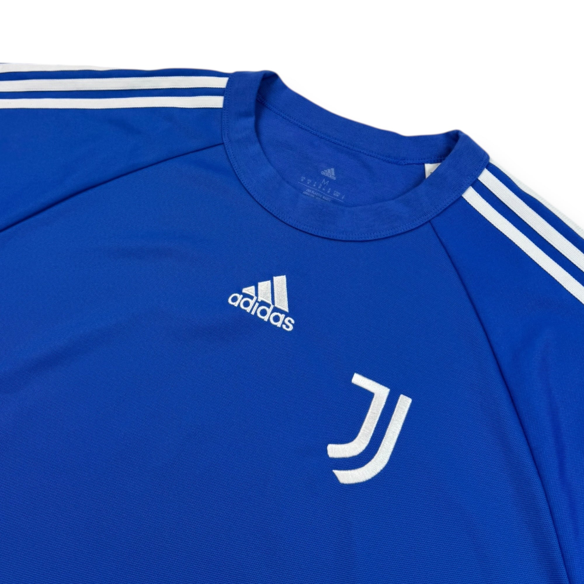Juventus 2021 Team Geist Jumper (M)