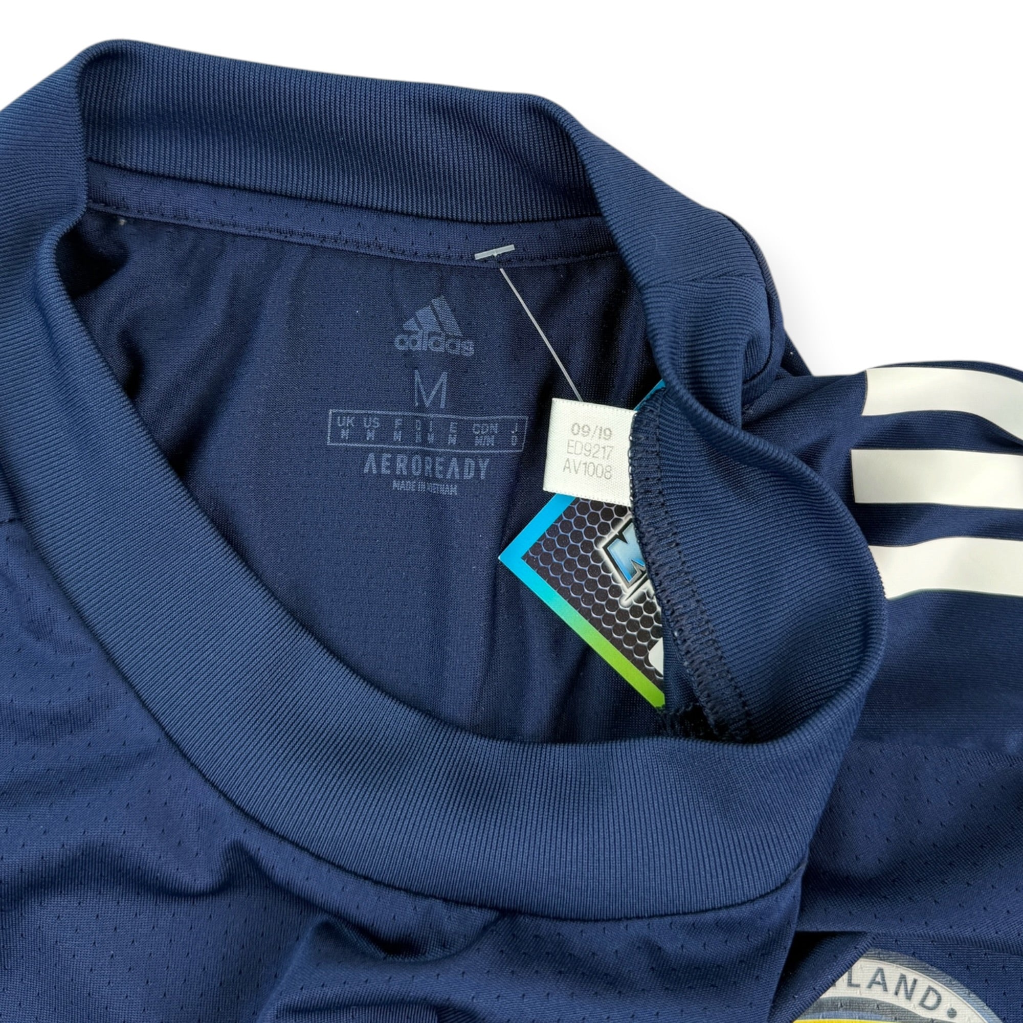 Scotland 2020 Training Shirt (M)