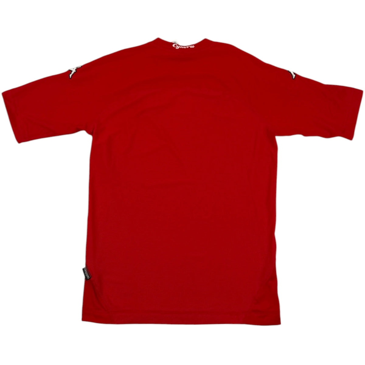 Wales 2004 Home Shirt (L)