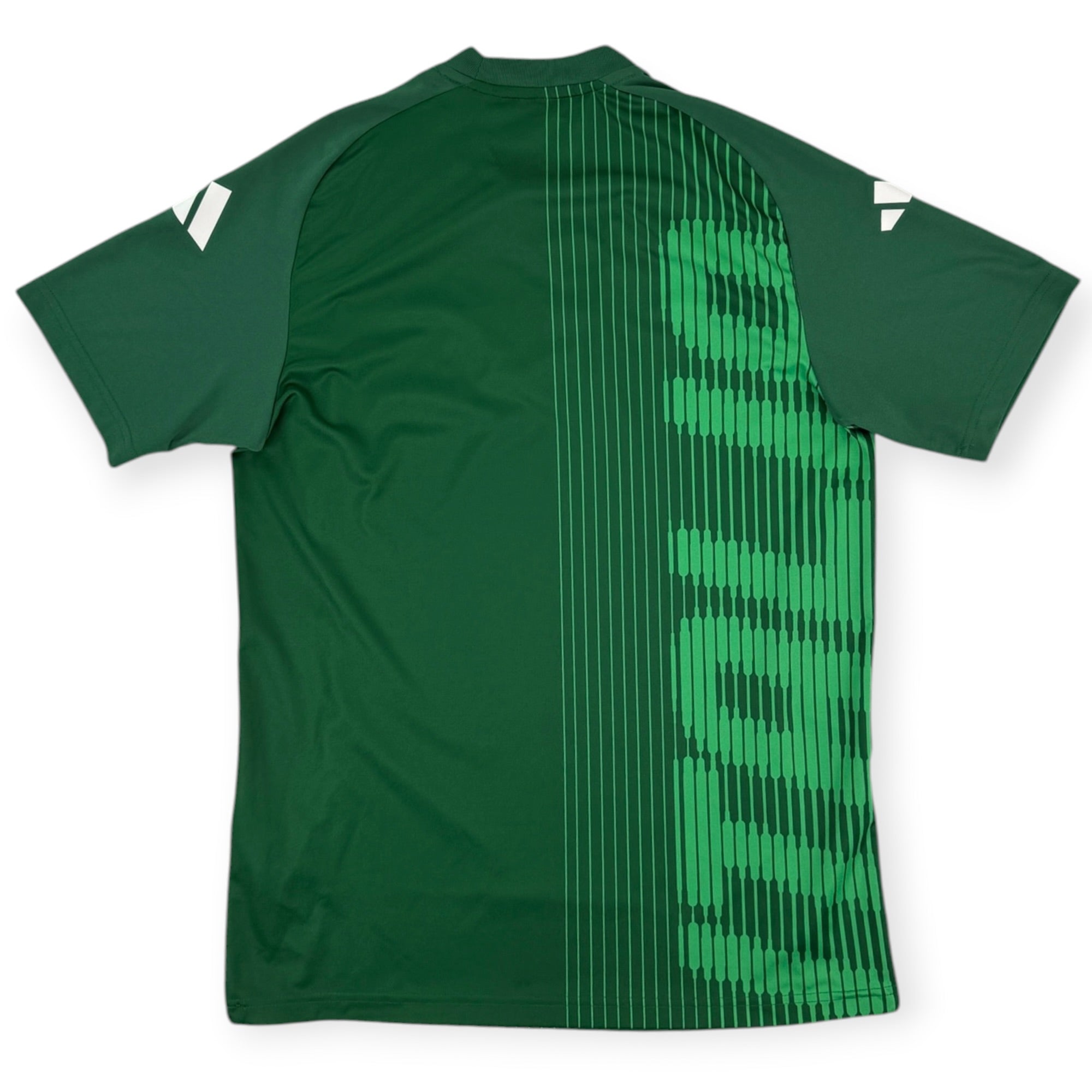 Italy 2024 Pre Match Shirt (M)