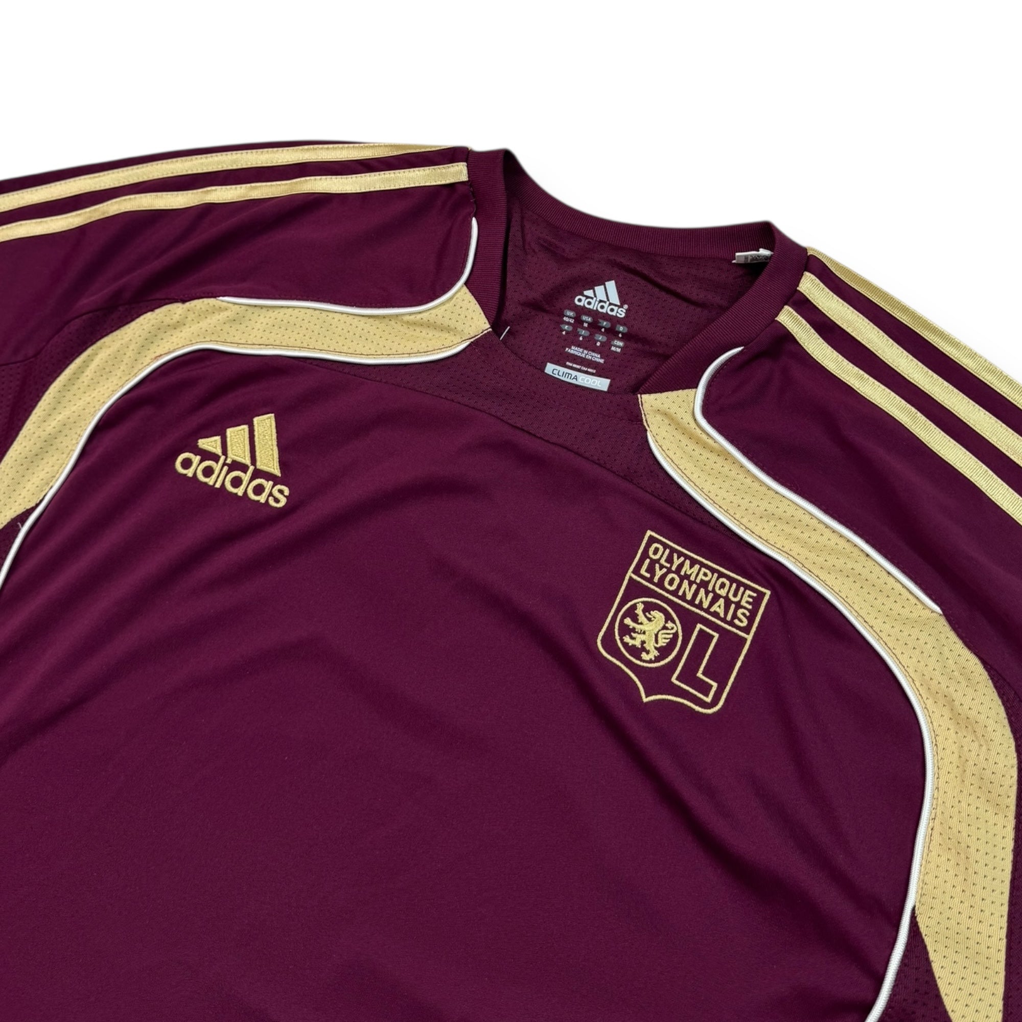 Olympique Lyon 2010 Training Shirt (M)