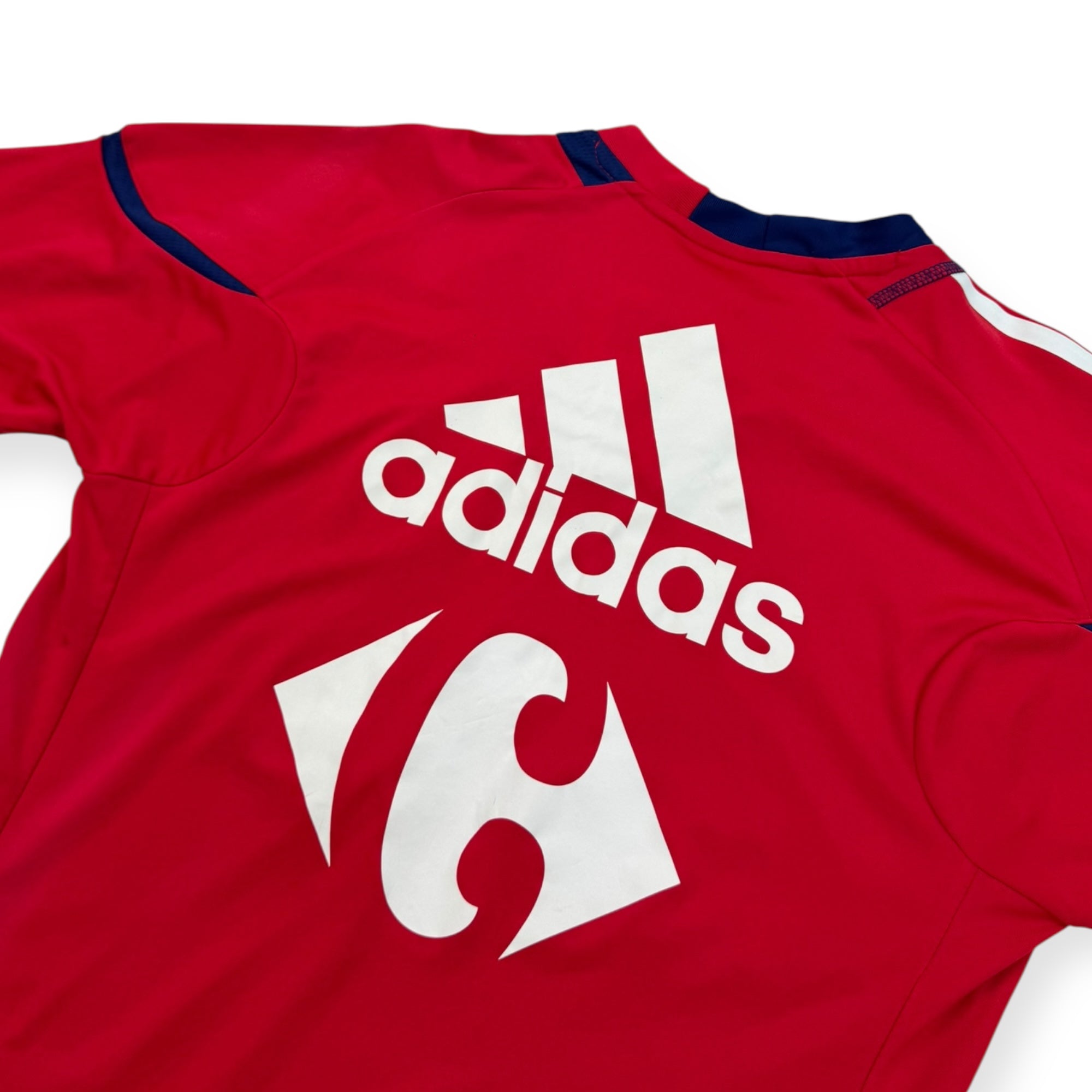 France 2010 Training Shirt (S)
