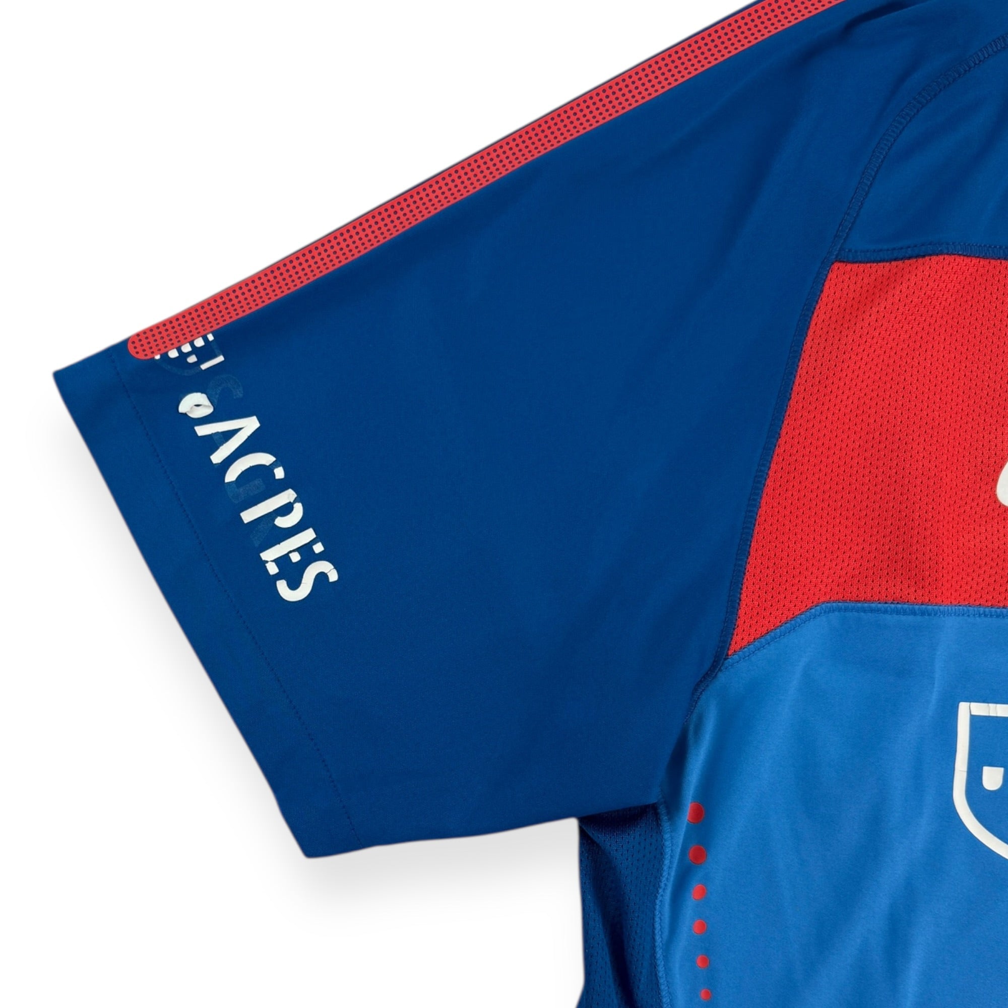 Portugal 2010 Training Shirt (M)