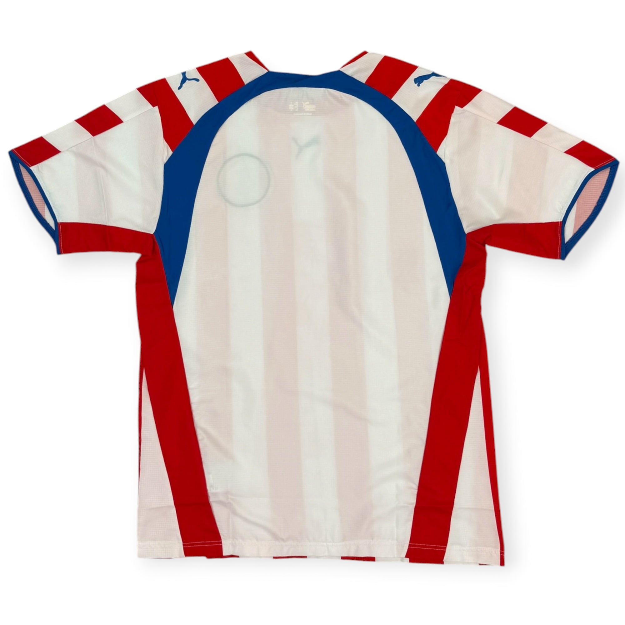 Paraguay 2006 Home Shirt, BNWT (M)