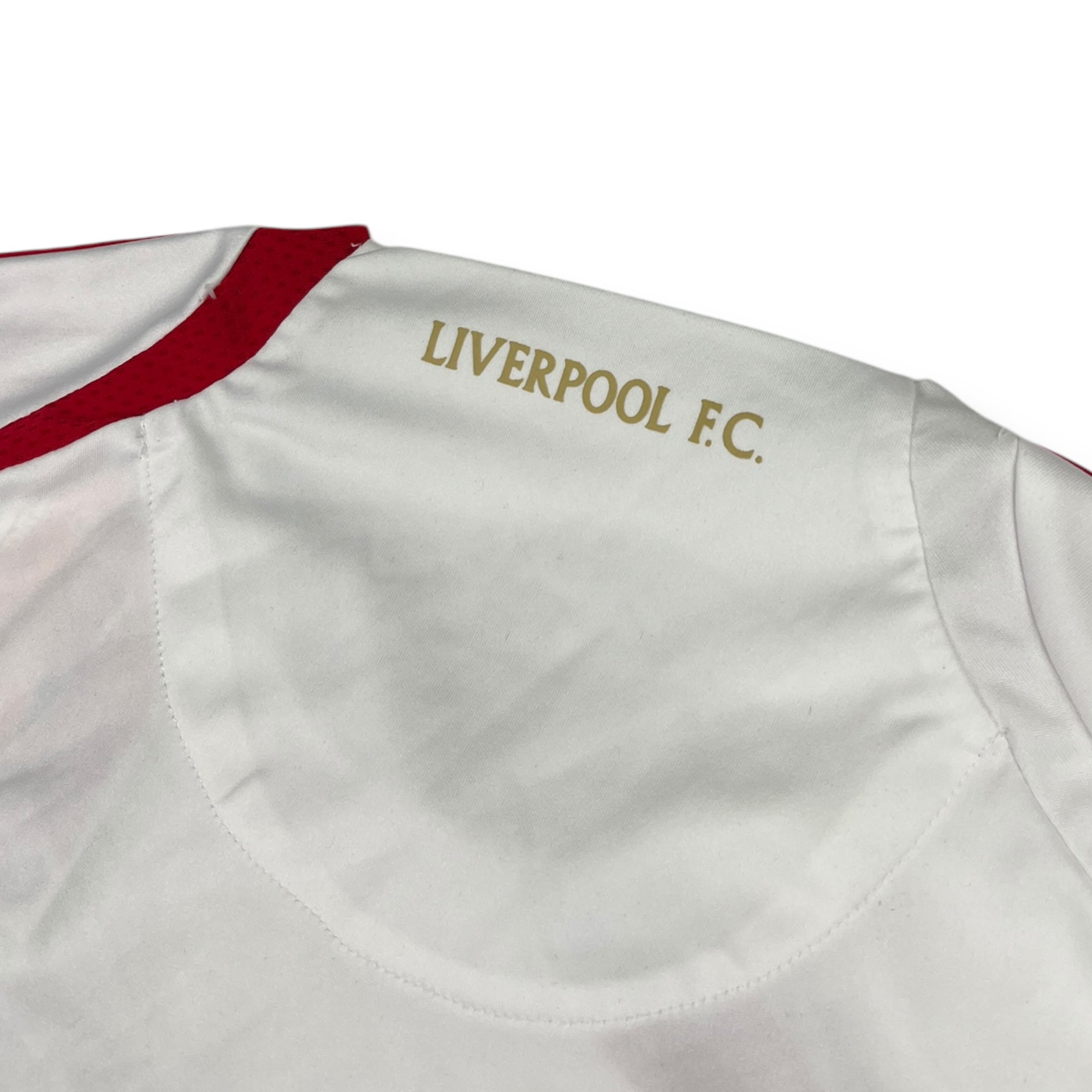 Liverpool 2009 Vest (L)