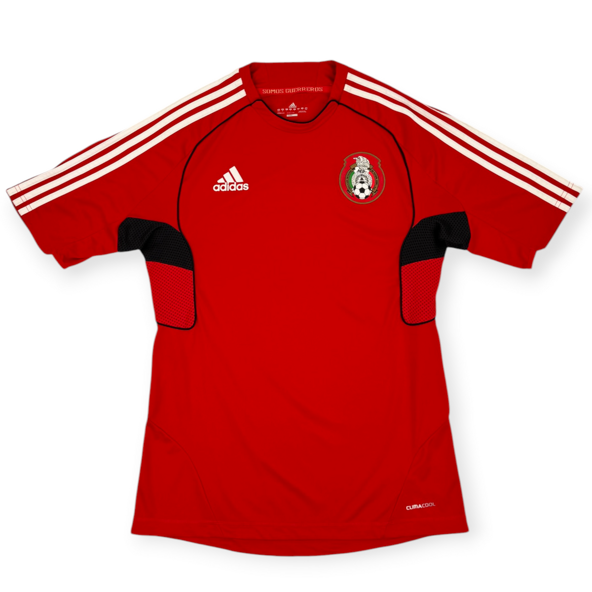 Mexico 2010 Training Shirt (L)
