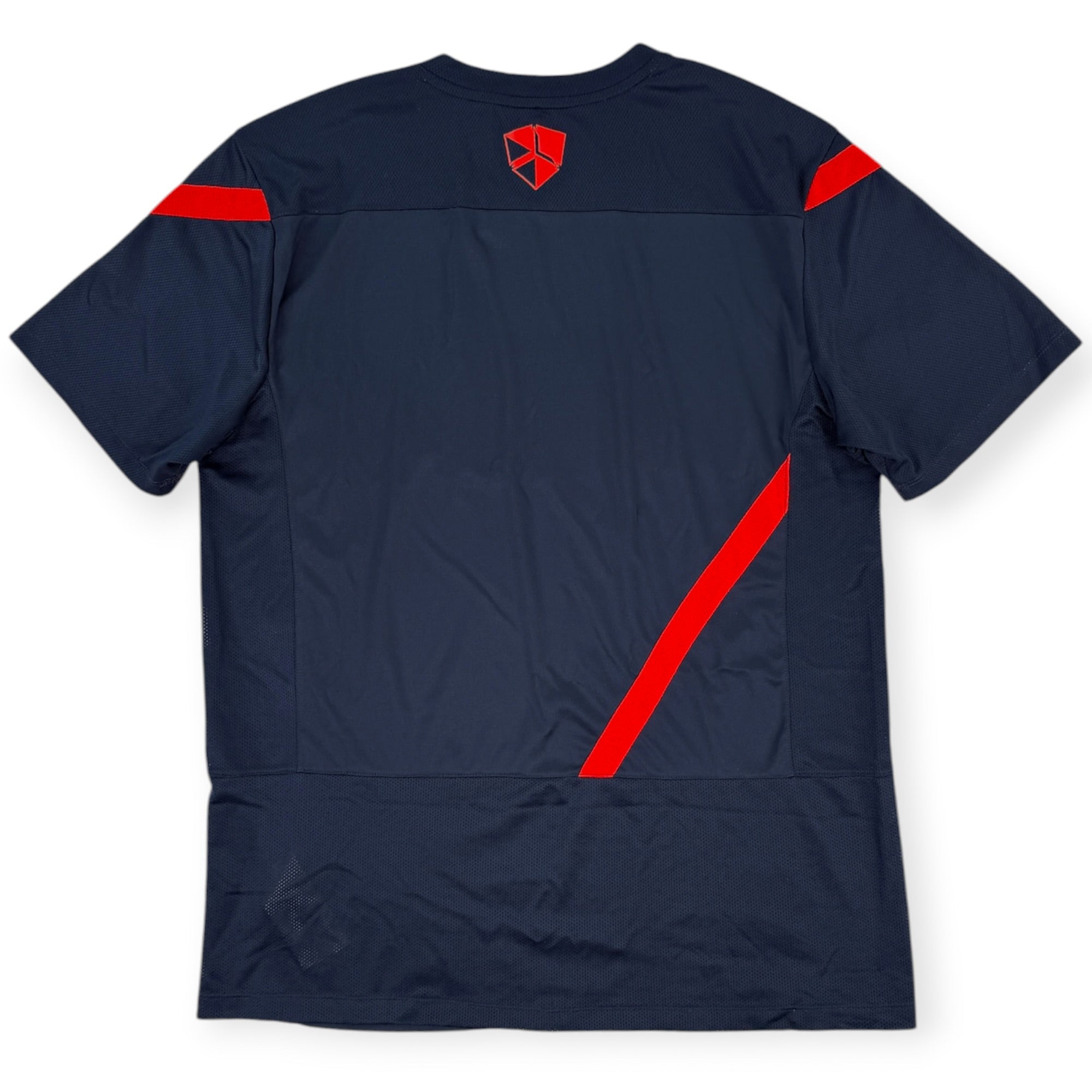 PSV 2011 Training Shirt (L)