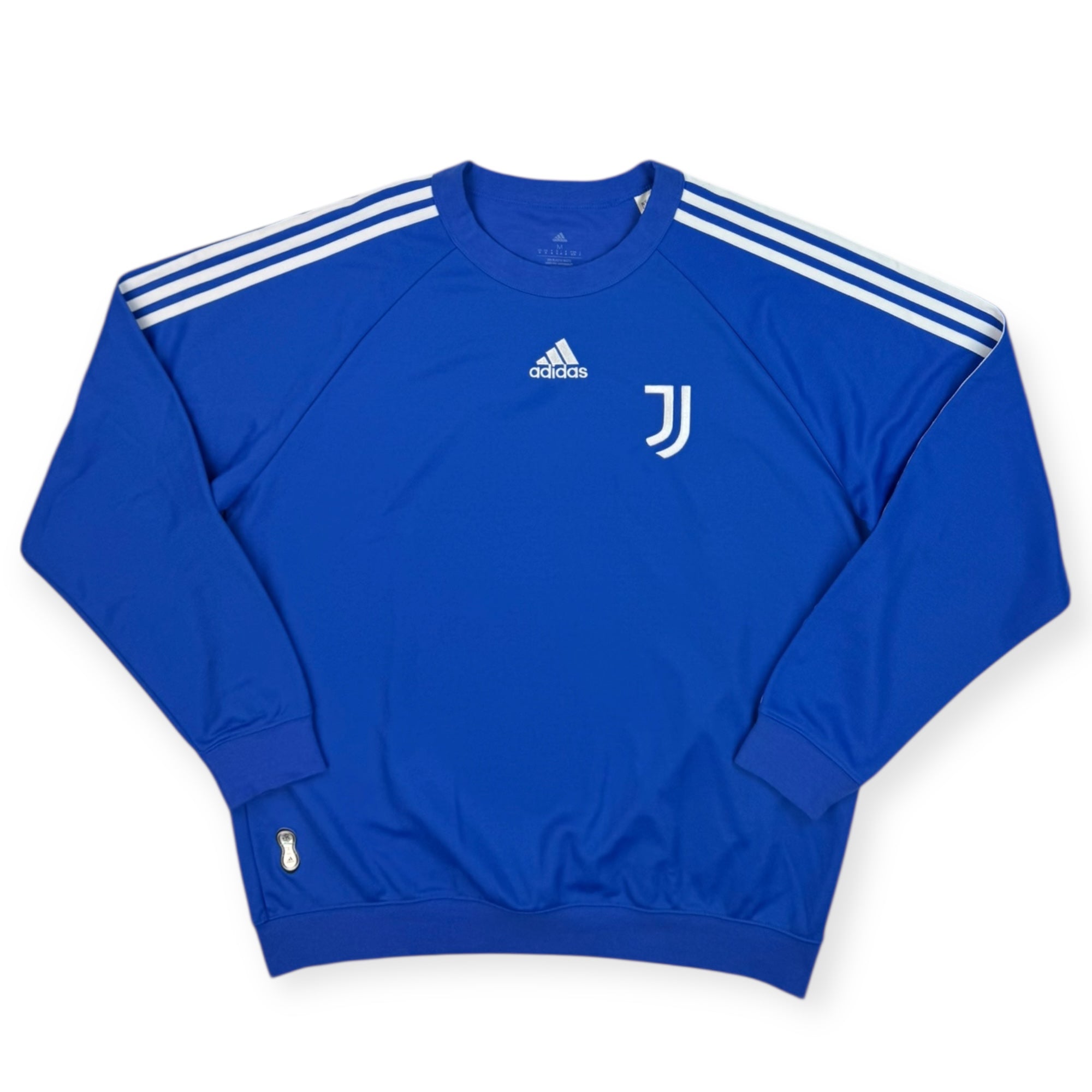Juventus 2021 Team Geist Jumper (M)