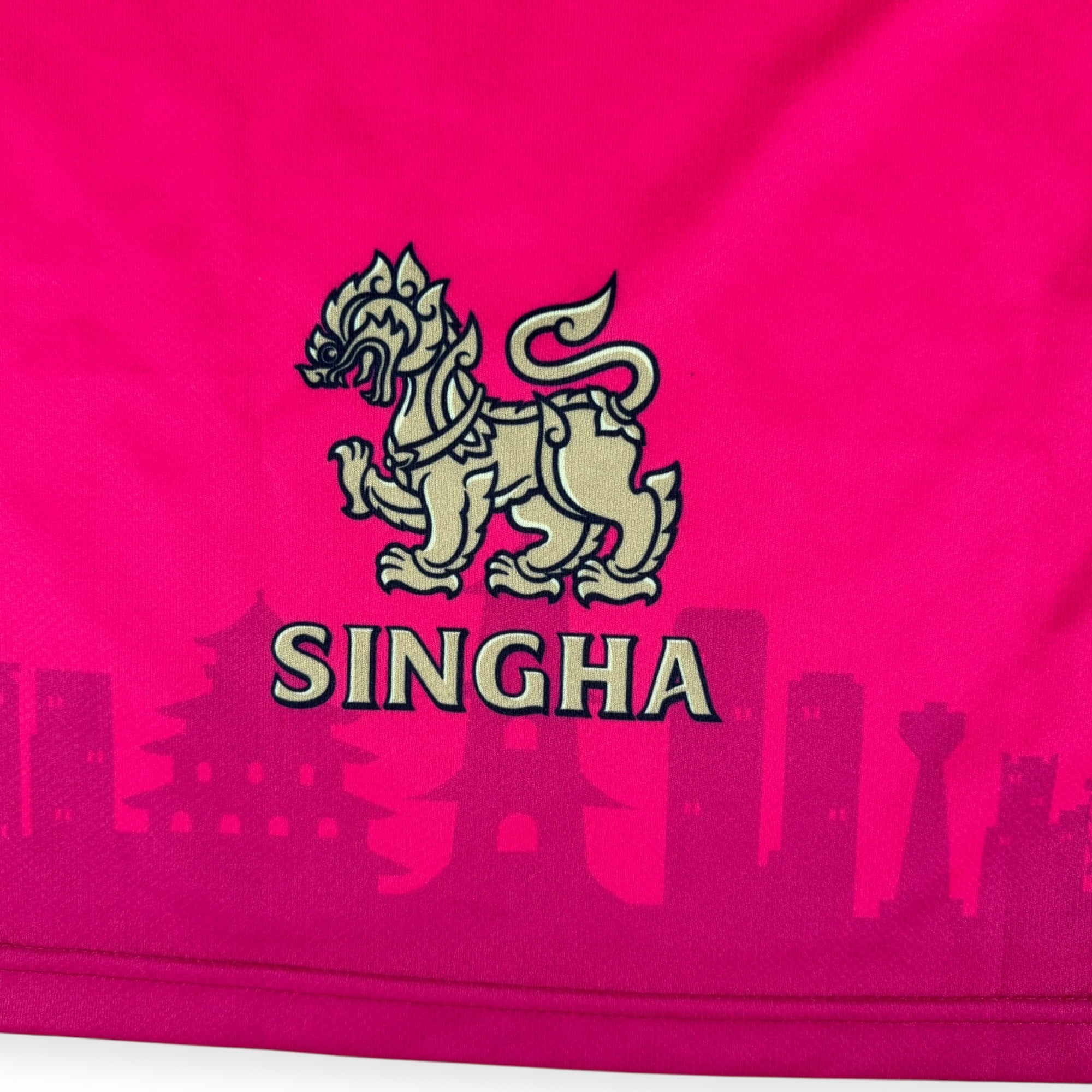 Cerezo Osaka Vest (L)