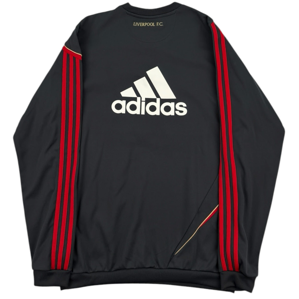 Liverpool 2009 Jumper, BNWT (M)